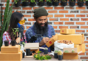 Read more about the article Where to Buy Medicinal Seed Kit Online , The Hidden Shops Everyone Is Suddenly Talking About