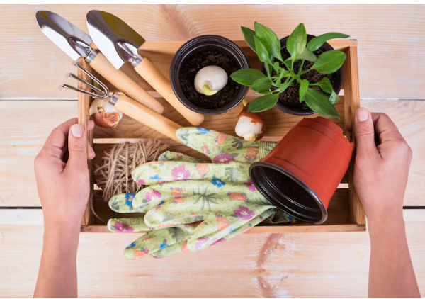 The Beginner-Friendly Medicinal Garden Set Everyone Is Ordering — And Why It’s Transforming Home Wellness