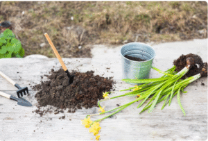 Read more about the article The Best Soil for Medicinal Herb Gardening , What Garden Gurus Never Tell You