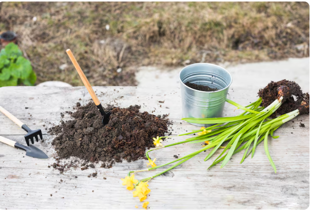 The Best Soil for Medicinal Herb Gardening , What Garden Gurus Never Tell You