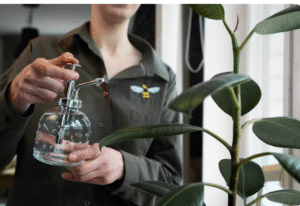 Read more about the article How Often to Water Medicinal Herbs , The Truth Gardeners Always Get Wrong