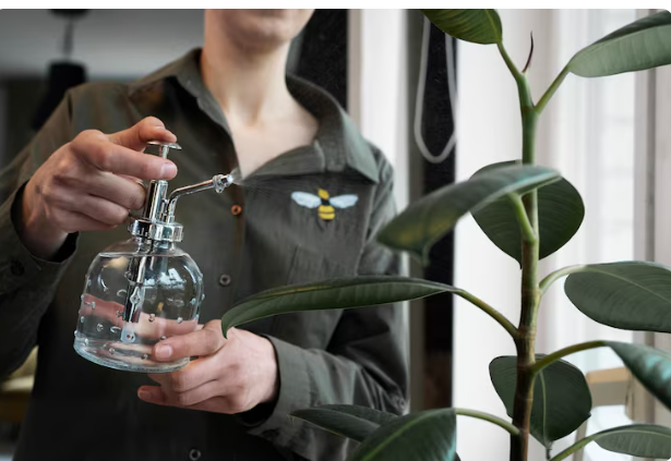 How Often to Water Medicinal Herbs , The Truth Gardeners Always Get Wrong