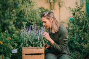 Read more about the article Are Medicinal Gardens the Next Big Step in Self-Care? The Green Cure Everyone’s Talking About