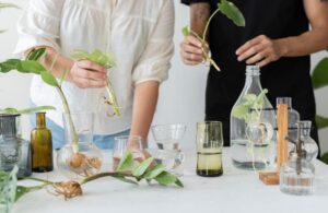 Read more about the article From Folk Remedy to Lab Research, Why Medicinal Herbs Are the New Frontier of Modern Pharmacology