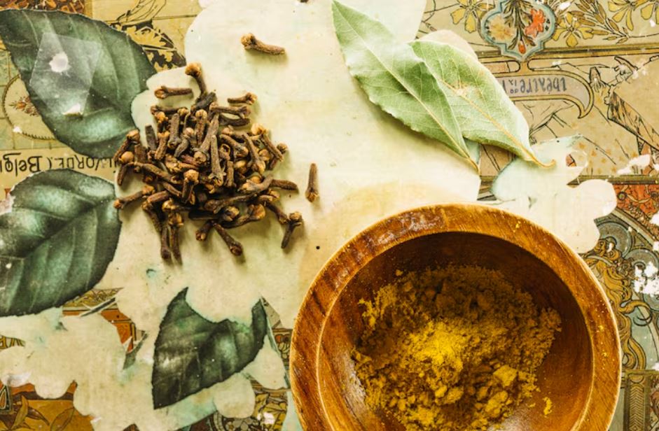 How Ancient Plant Wisdom Is Guiding the Next Wave of Medicine