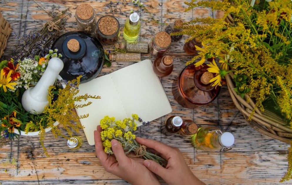 The Quiet Rewriting of Wellness—One Medicinal Herb at a Time