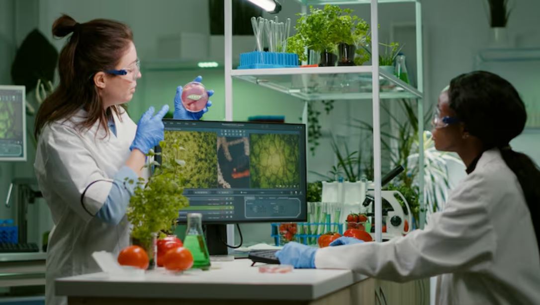 The Surprising Ways Plant Intelligence Is Teaching Scientists About Human Health and Emotions