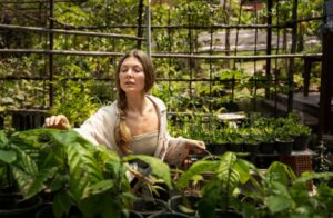 Read more about the article Inside the $3 Billion Boom of DIY Medicinal Gardening, How Backyard Botanists Are Outpacing Big Pharma