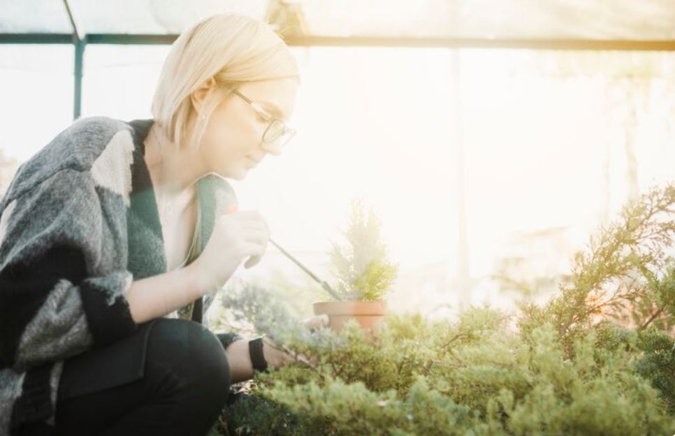 Inside the Cult of Medicinal Gardening — And Why It’s Spreading Fast Among Urban Seekers