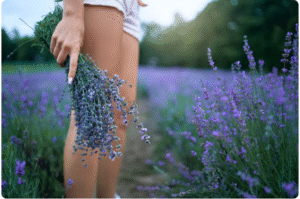Read more about the article Beyond Lavender , The Forgotten Plants With Hidden Healing Powers That Herbalists Swear By