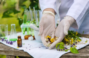 Read more about the article The Ethical Debate Behind the Herbal Medicine Revival—and Why It’s Getting Louder