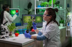 Read more about the article Inside the Plant Labs Where Nature’s Secrets Are Decoded—and the Future of Medicine Takes Shape
