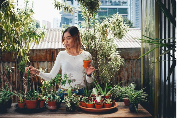 From Balcony to Apothecary: The Rise of Urban Herbalists