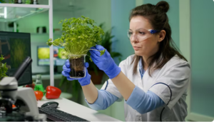 Read more about the article Inside the Laboratories Tracing Healing Secrets Buried in British Soil