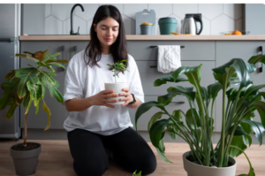 Read more about the article Tending Peace , How Growing Plants Gently Rewires the Brain for Calm