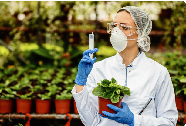 How Medicinal Plants Are Quietly Influencing Climate Policy