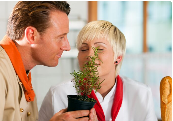 One Root, Many Reactions , How Herbal Medicine Sparked New Doubts