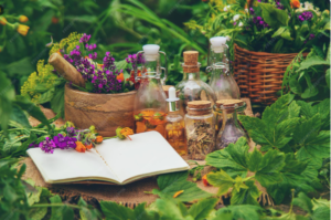 Read more about the article Where Folklore Meets Function , Inside the Modern Backyard Apothecary