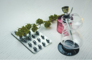 Read more about the article Why Plant‑Based Medicine Is More Than a Wellness Craze