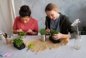 Read more about the article The Botanical Balancing Act Behind Fast Healing in Nature