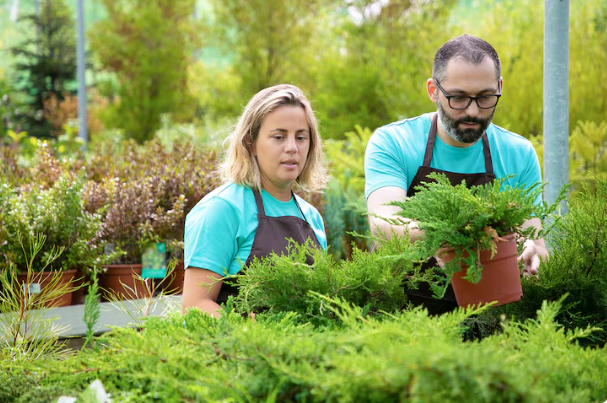 How a Global Network of Gardeners Is Preserving Medicinal Diversity