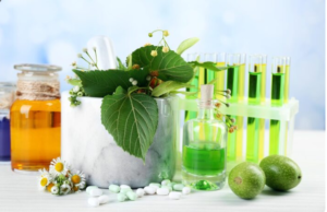 Read more about the article Race Against Time , Can We Rescue Nature’s Medicine Cabinet?