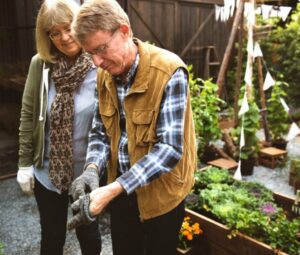 Read more about the article The Curious Connection Between Gardening and Longevity, How Digging in Dirt Could Add Years to Your Life