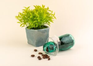 Read more about the article What Herbalists Know That Hospitals Are Just Learning