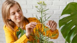 Read more about the article Why The Modern Herbalist’s Guide to Growing Resilience Is Finding New Followers