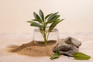 Read more about the article Why the Subtle Science of Growing Plants That Heal Is Changing Healthcare from the Soil Up