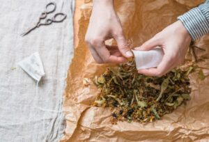 Read more about the article Why These Medicinal Herbs Are Thriving Where Modern Drugs Fail, Despite Billions in Pharma R&D