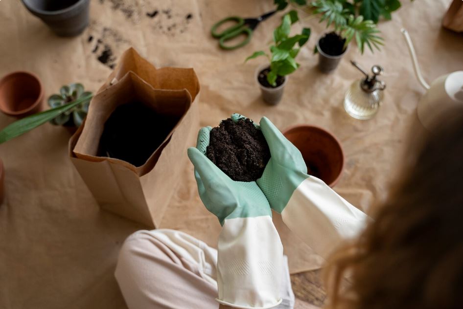 When Science Meets Soil - Inside the Herbal Healing Revolution