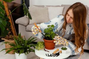 Read more about the article Why Millennials Are Obsessed With Growing Healing Herbs Indoors, A Green Rebellion Against Burnout