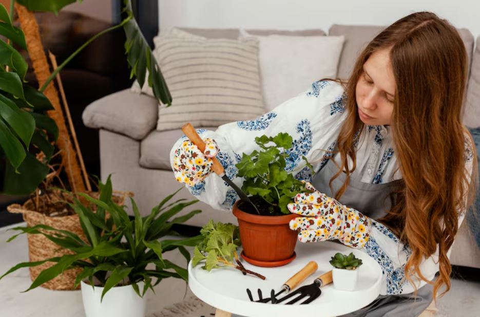 Why Millennials Are Obsessed With Growing Healing Herbs Indoors