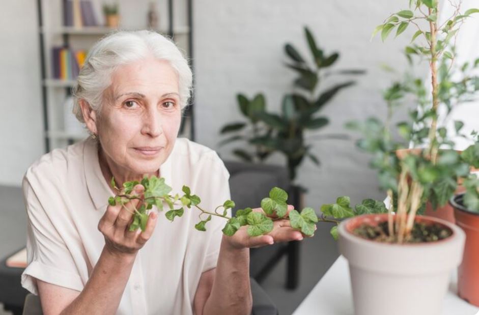 Why Plant Roots May Hold the Next Breakthrough in Mental Health