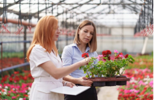 Read more about the article How Gardening Is Becoming a Form of Preventive Medicine