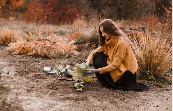 Rooted in Something Deeper , The Quiet Healing Power of Growing Plants