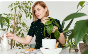 Read more about the article A Patch of Parsley and the Slow Healing of Modern Minds