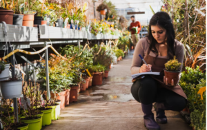 Read more about the article How One Small Town Built a Thriving Economy Around Medicinal Plants