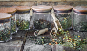 Read more about the article The Ancient Recipes Powering the Modern Herbal Industry